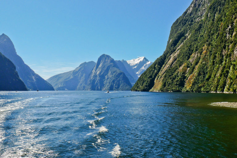 Milford Sound Bootstour In Neuseeland Swiss Nomads