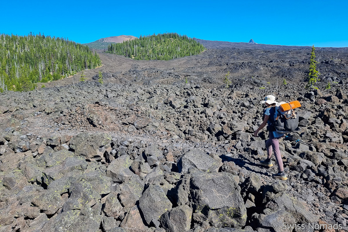 Pacific Crest Trail Section F In Oregon Hwy Mckenzie Pass Bis Hwy