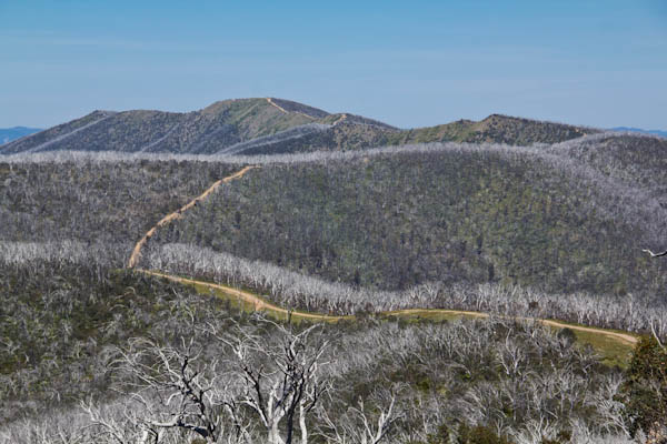 Das Victorian High Country