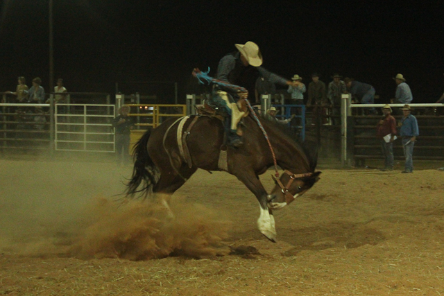 Bronc ride Birdsville Rodeo