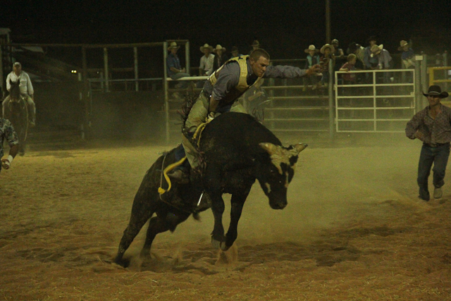 Bull ride Birdsville Rodeo