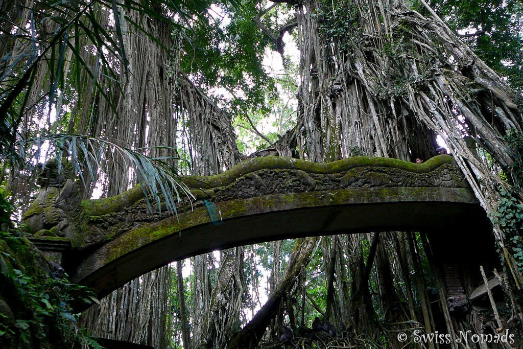 Brücke im Affenwald in Ubud