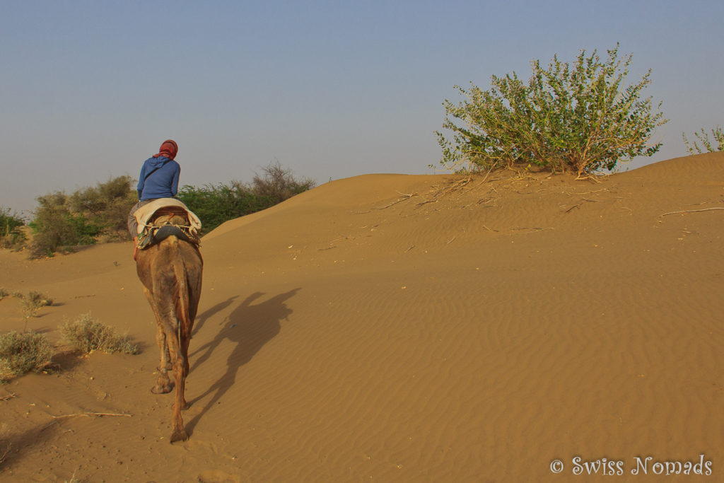 Beim Kamelreiten in der Thar Wüste in Rajasthan