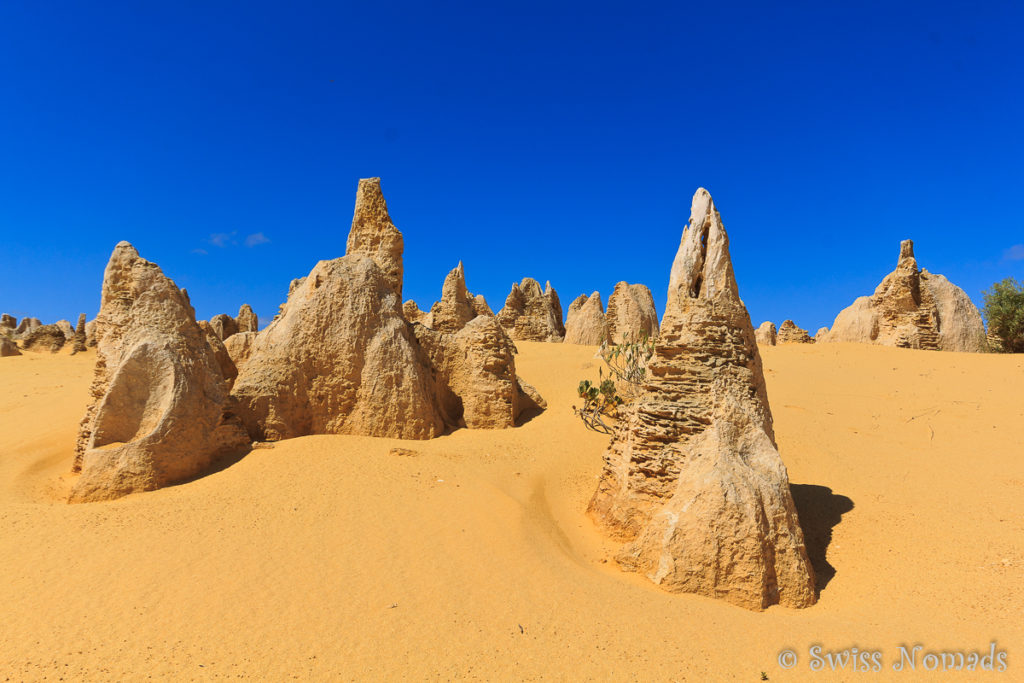 Pinnacles Desert im Nambung Nationalpark