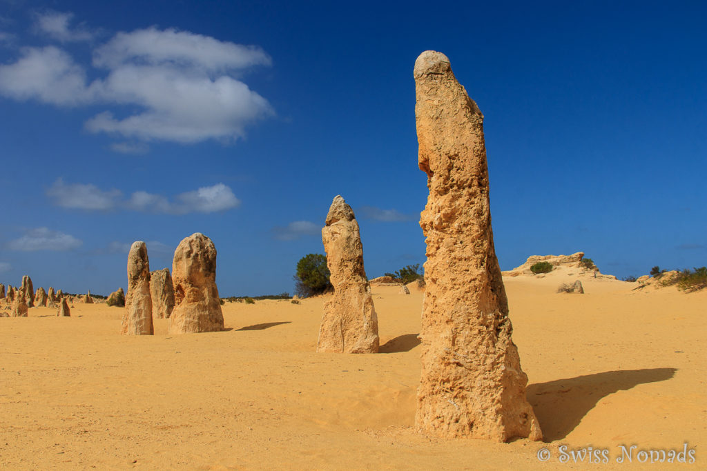 Pinnacles Desert Nambung Nationalpark