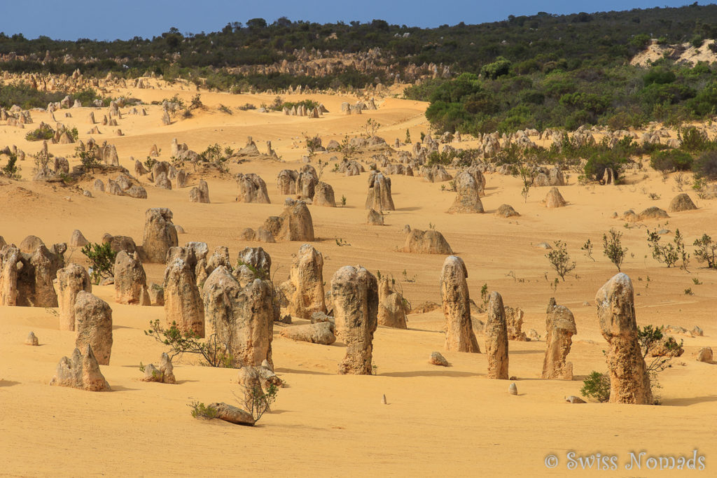 Pinnacles Desert im Nambung Nationalpark