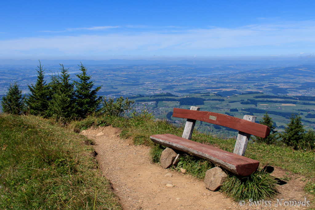 Rigi wandern im Sommer