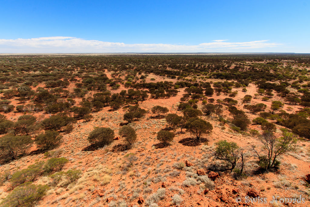 Aussicht von Mount Everard entlang des Gunbarrel Highways