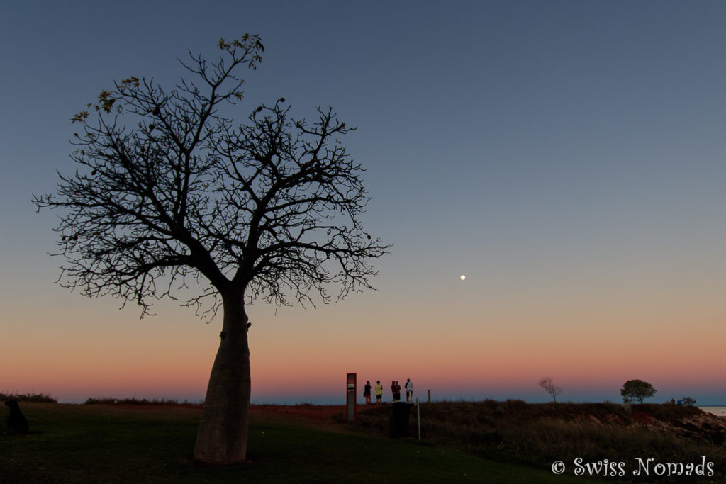 Broome Sonnenuntergang mit Affenbrotbaum