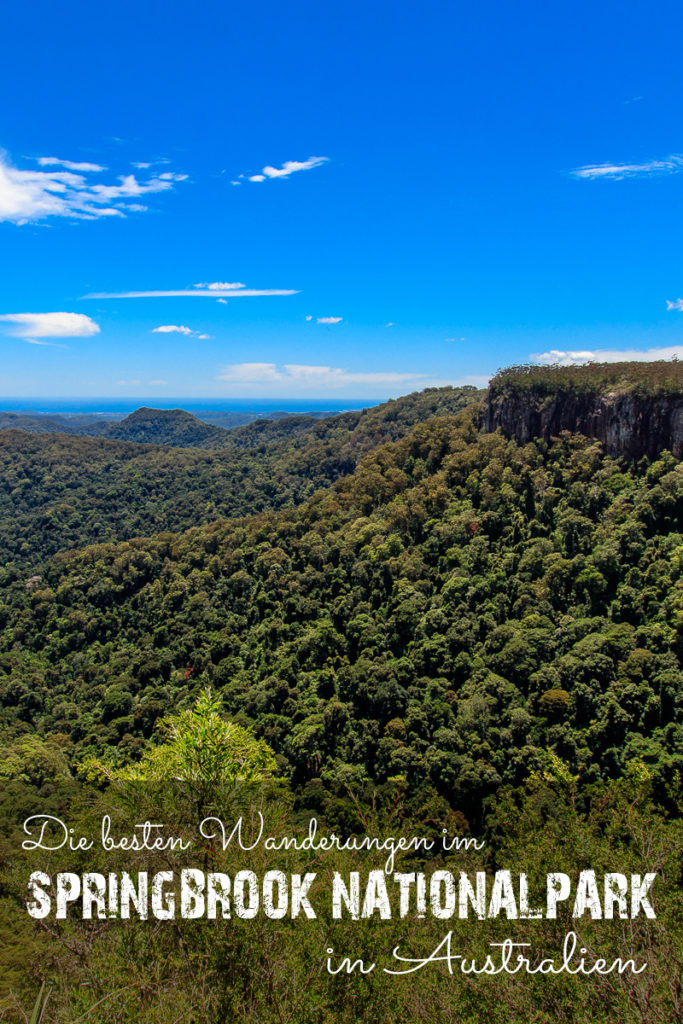 Springbrook Nationalpark in Australien