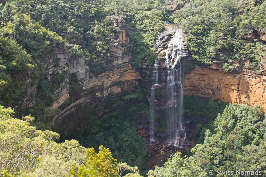 Die Wentworth Falls im Blue Mountains Nationalpark