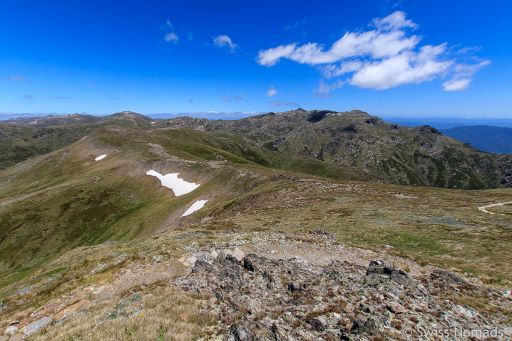 Aussicht zum Mount Kosciusczko vom Carruthers Peak