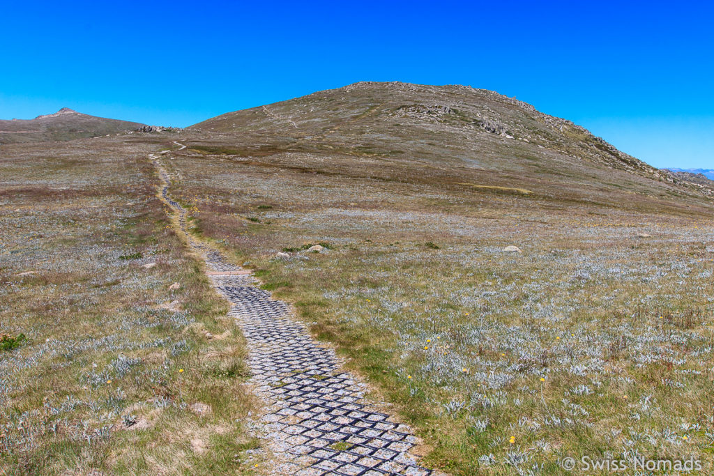 Main Range Track zum Mount Kosciuszko in Australien 