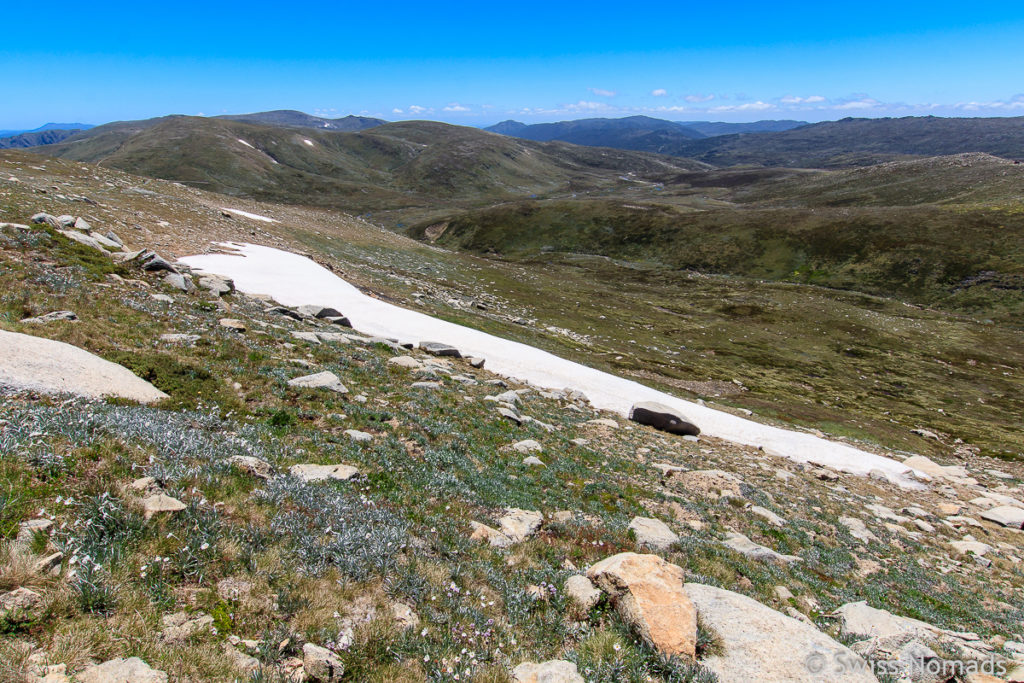 Schneefeld entlang des Main Range Tracks zum Mount Kosciuszko 