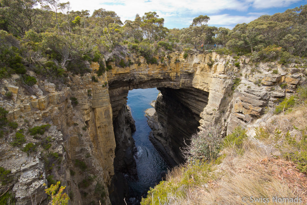 Der Tasman Arch auf dem Tasmanien Roadtrip