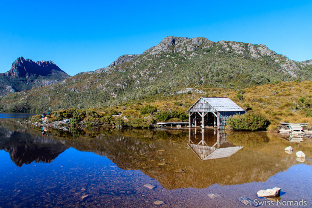 Der Cradle Mountain Nationalpark ist eine der Top 10 Tasmanien Sehenswürdigkeiten