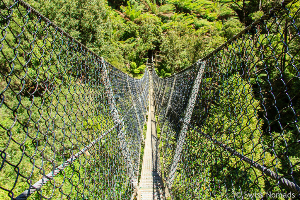 Die schöne Wanderung zu den Monte Zuma Falls in Tasmanien