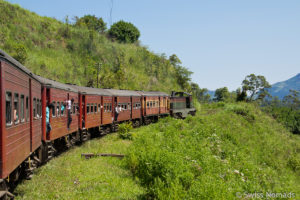 Mehr über den Artikel erfahren Sri Lanka Reisetipps