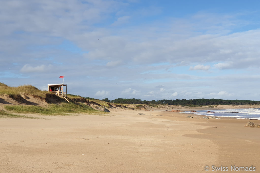 Unsere ersten Eindrücke aus Uruguay