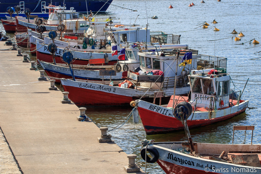 Fischerei Flotte Punta del Este