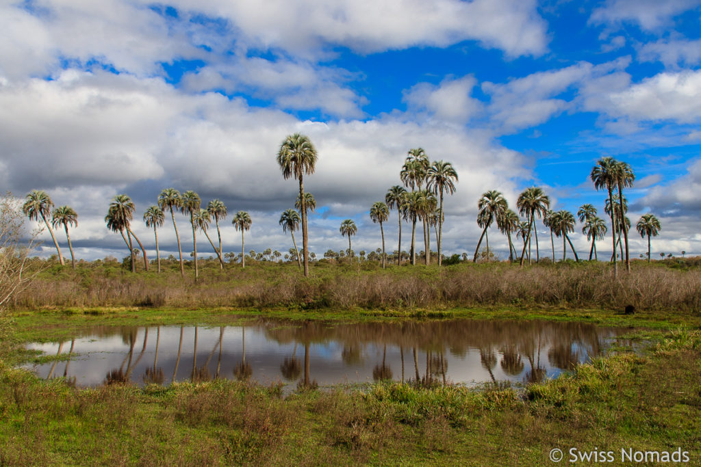 El Palmar Landschaft Lagune