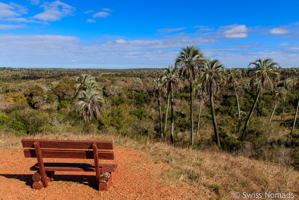 Mirador La Glorieta El Palmar