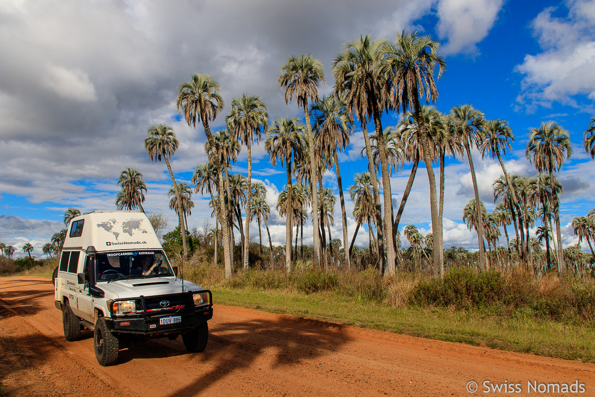 Du betrachtest gerade Der Parque Nacional El Palmar in Argentinien