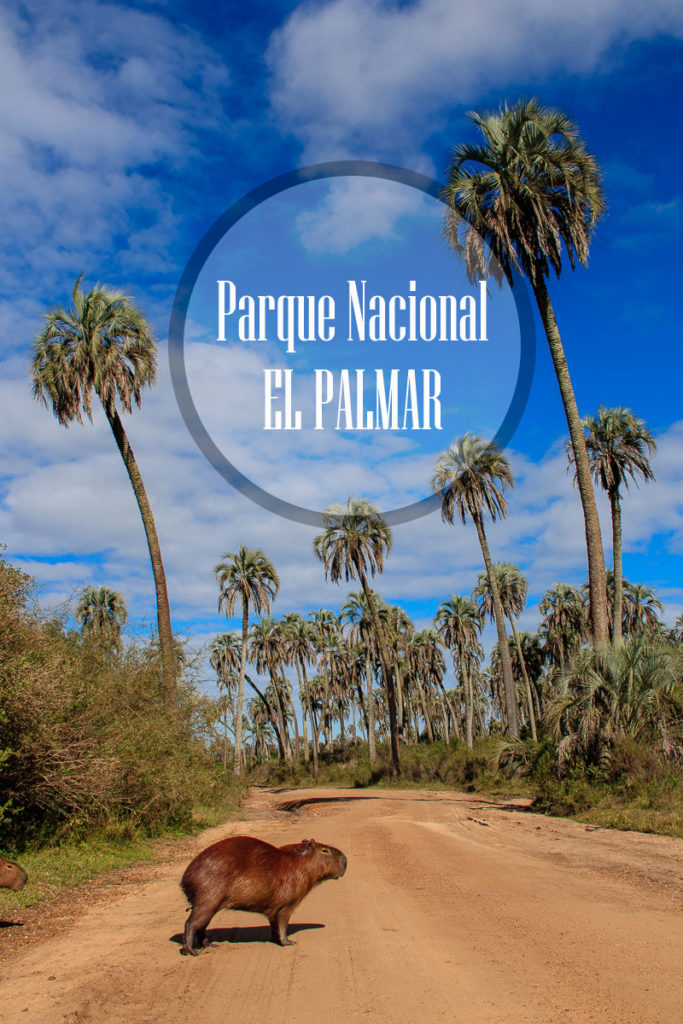 Parque Nacional El Palmar