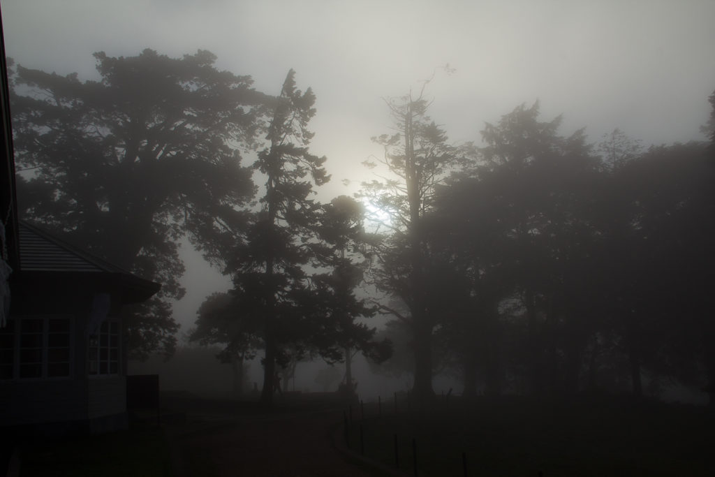 Nebel im Horton Plains Nationalpark