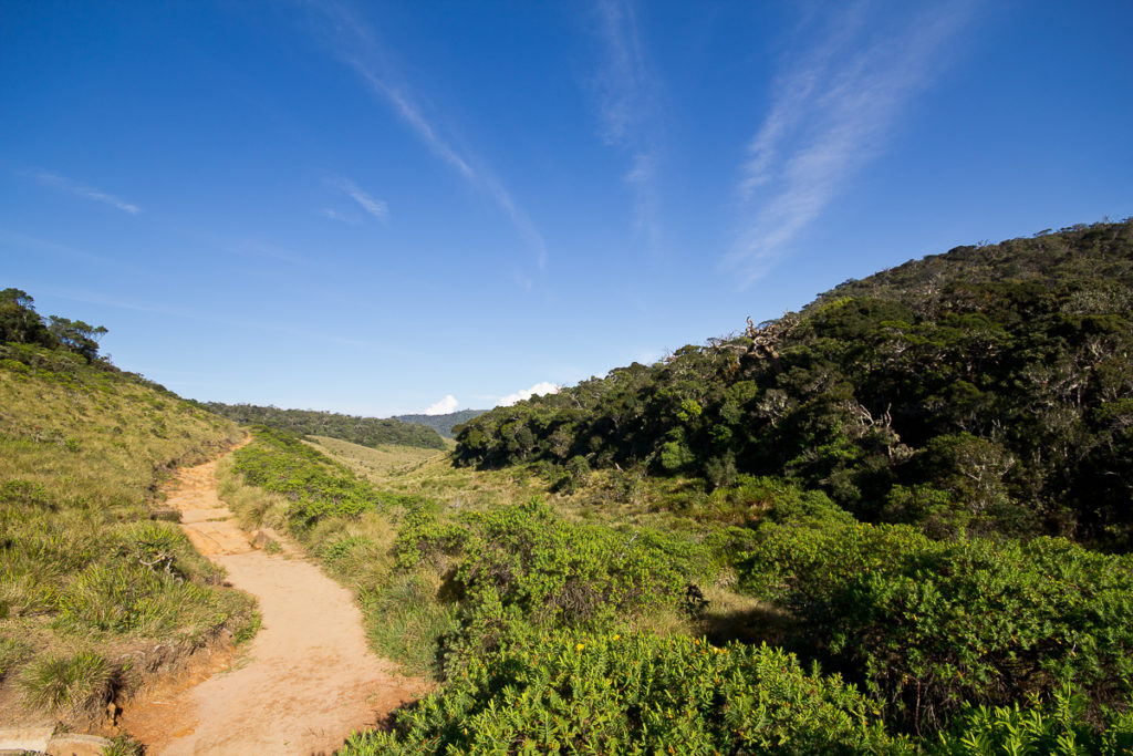 Wanderung im Horton Plains Nationalpark