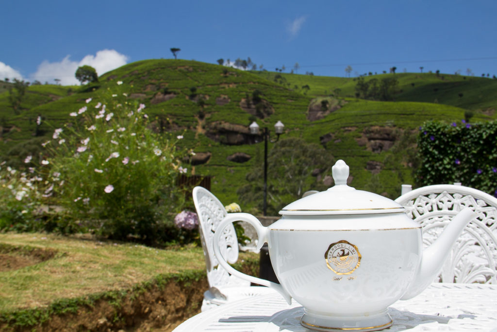 Teepause auf der Teeplantage Mackwoods in Nuwara Eliya