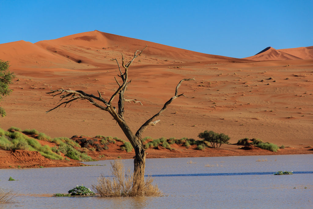 Sossusvlei ist einer der schönsten Ort in Namibias Norden