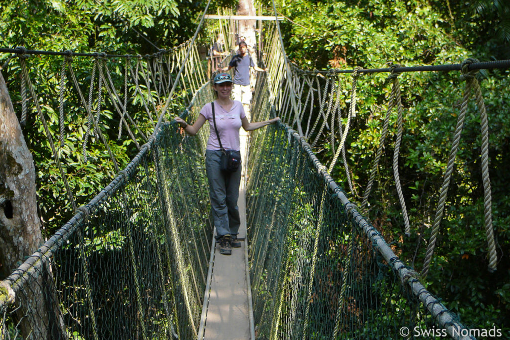 Canopy Walkway im Taman Negara