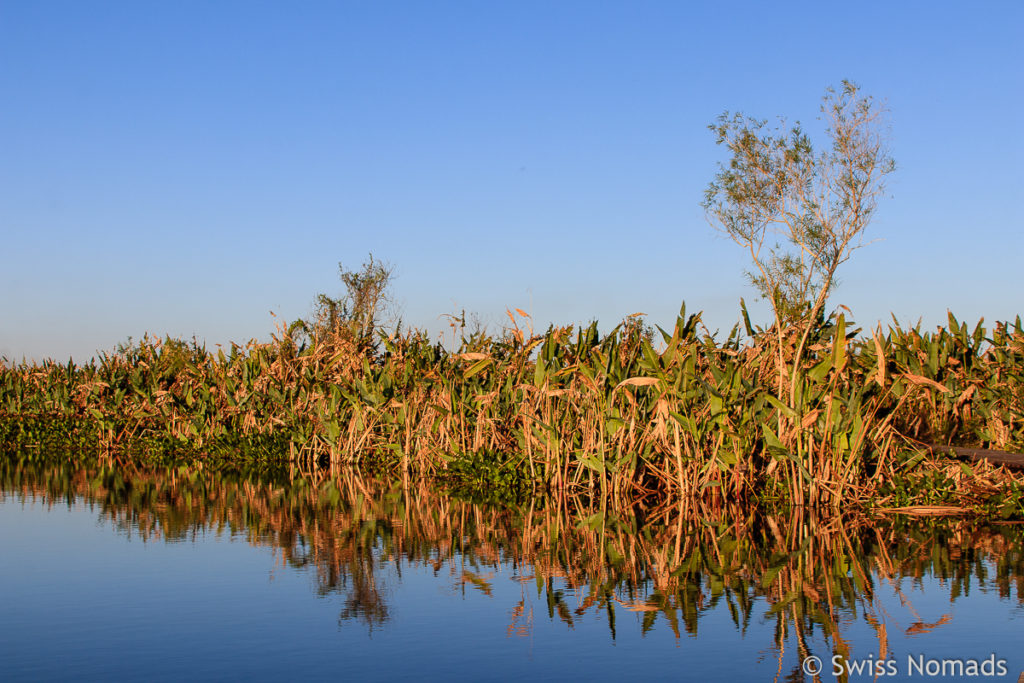 Landschaft bei der Laguna Blanca