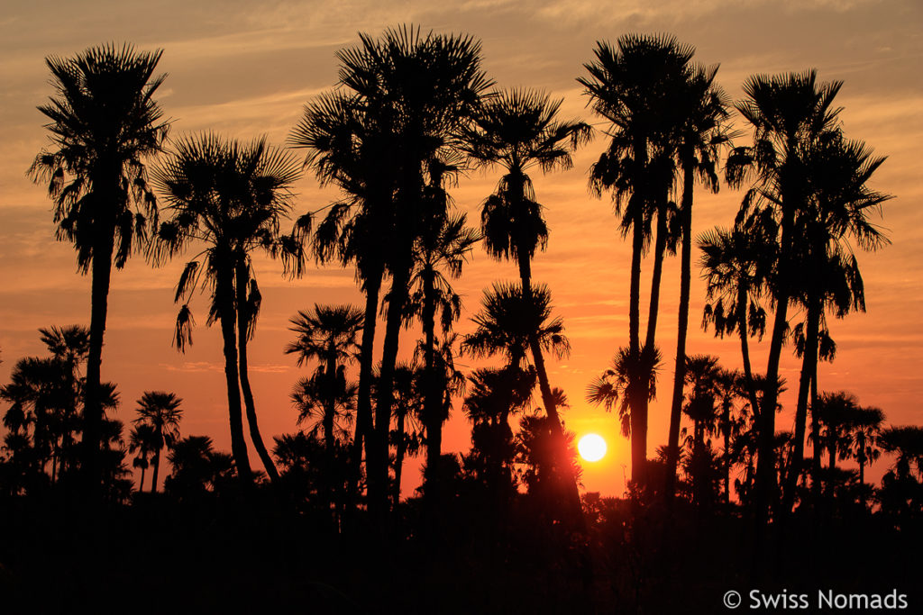 Sonnenuntergang im Rio Pilcomayo Nationalpark