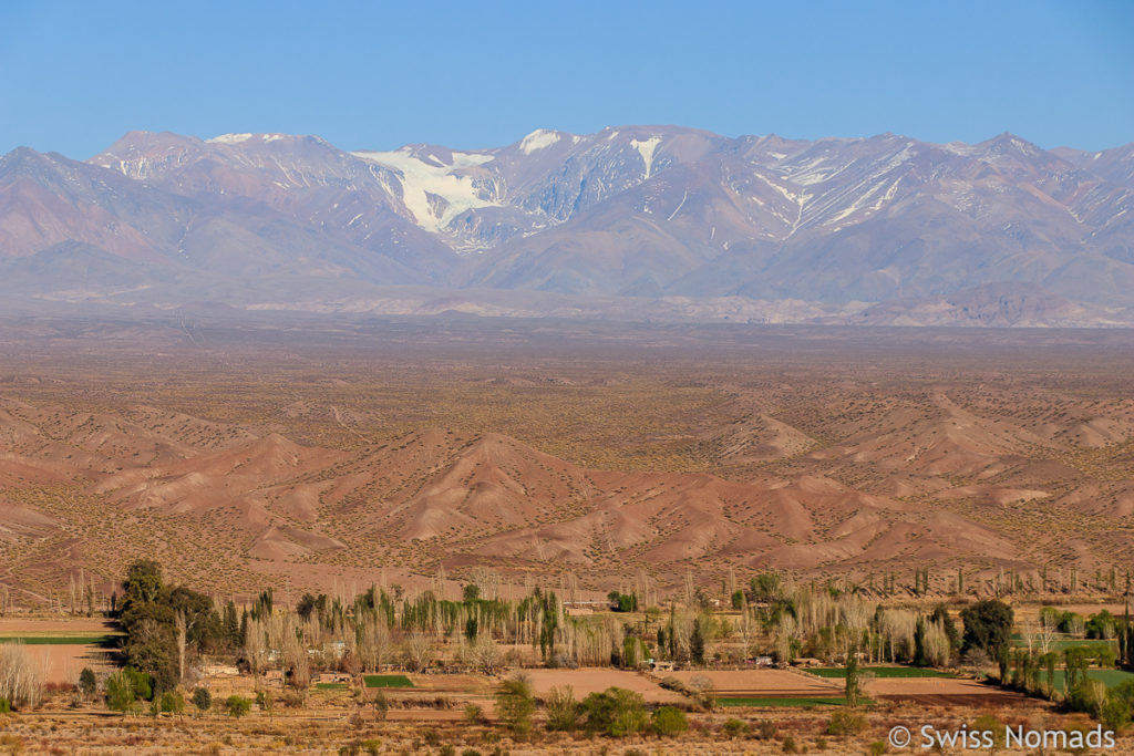 Anden bei Calingasta in Argentinien