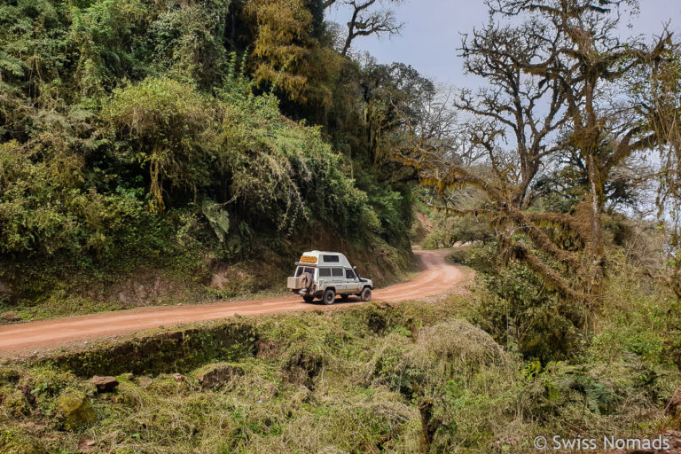 Parque Nacional Calilegua in Argentinien