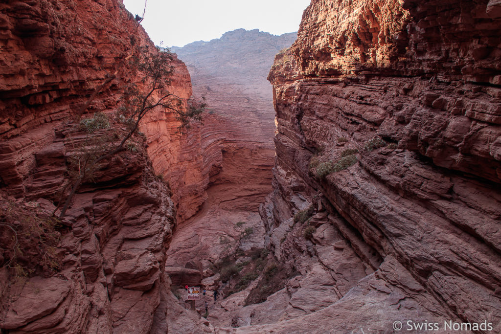 Garganta del Diablo Cafayate