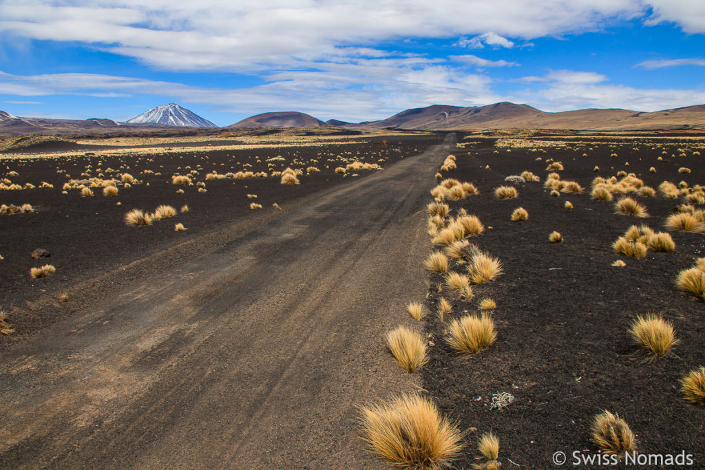 Landschaft im Payunia Park