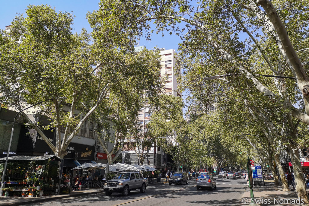 Typische Strasse in Mendoza