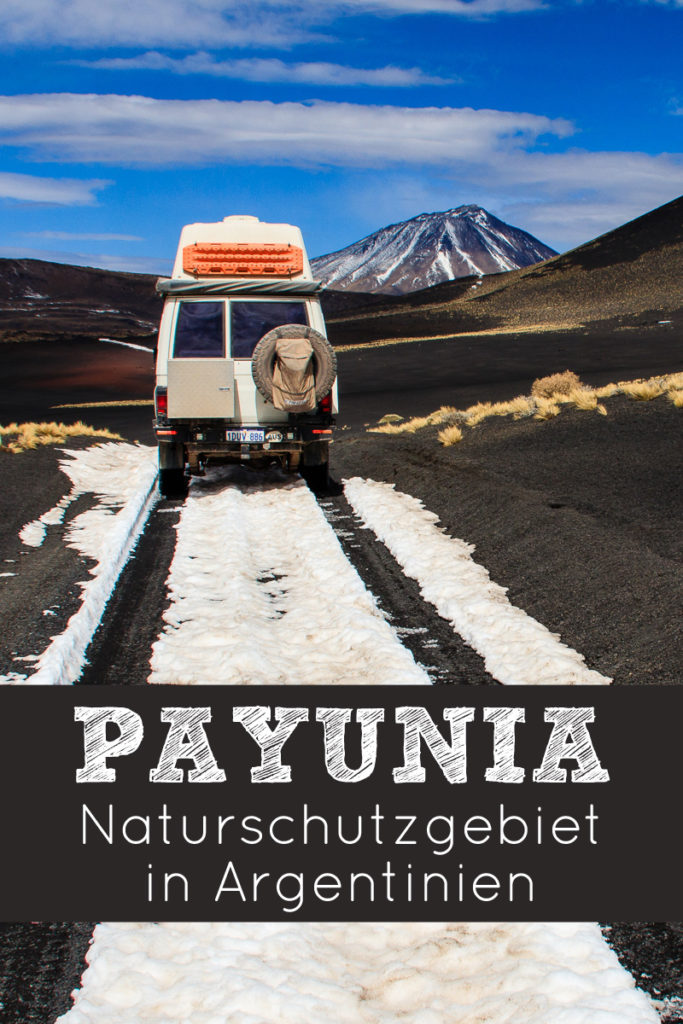 Payunia Naturschutzgebiet