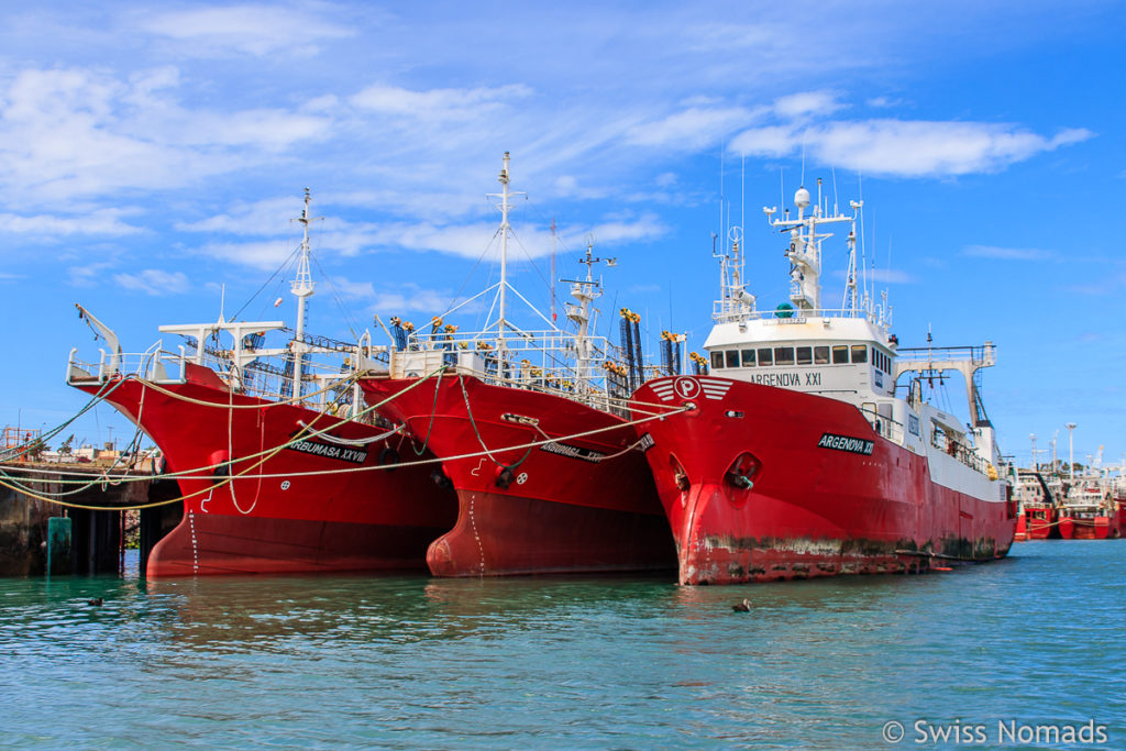 Puerto Deseado Hafen