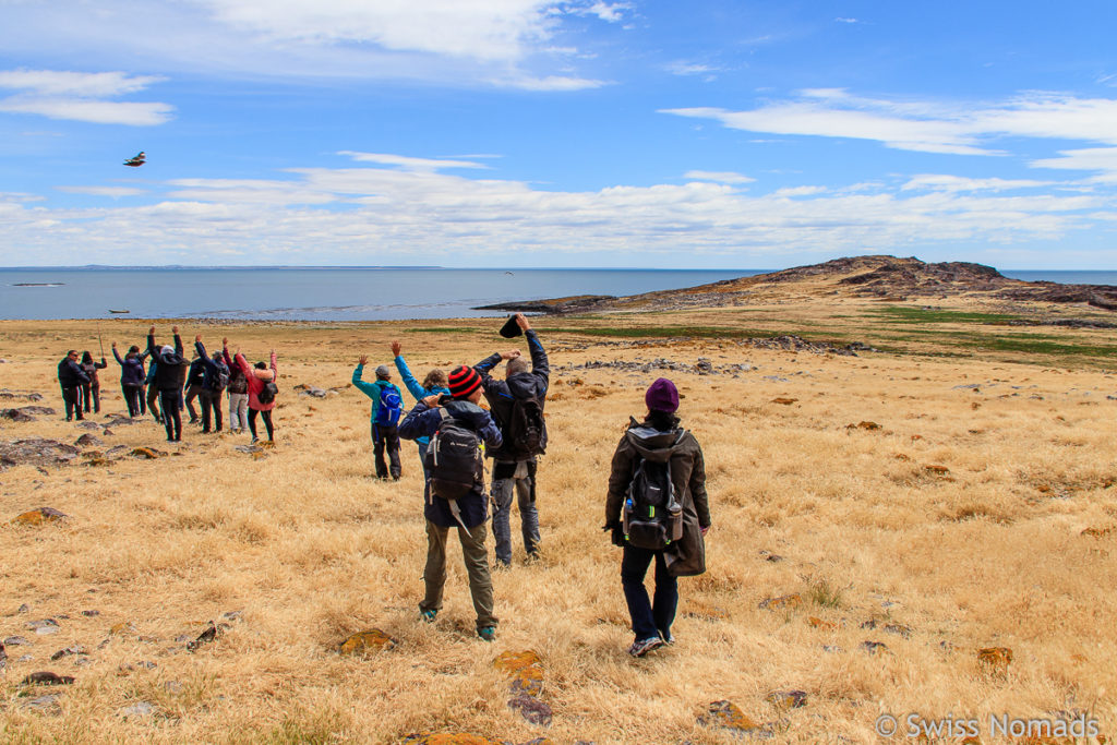 Wandern Puerto Deseado Insel