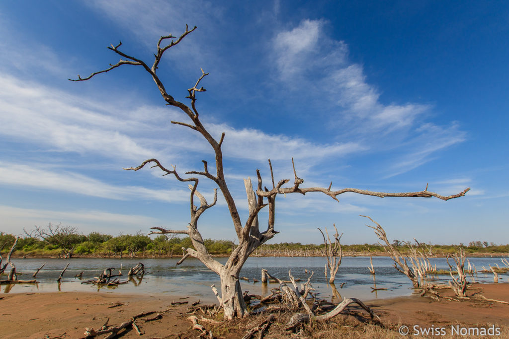 Chaco in Paraguay