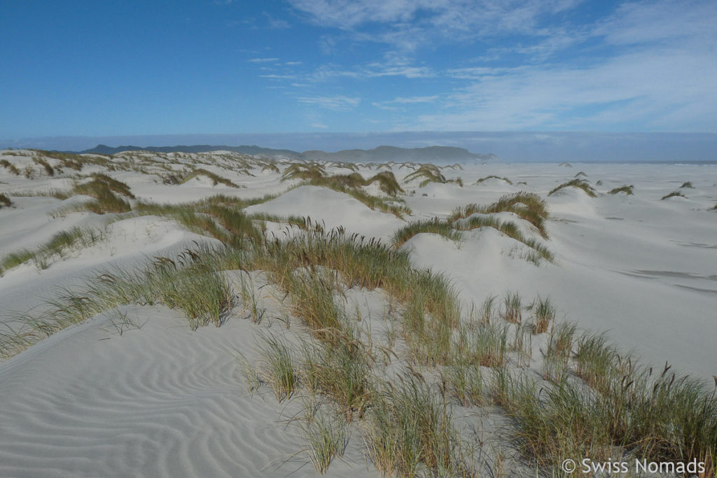 Farewell Spit Dünen