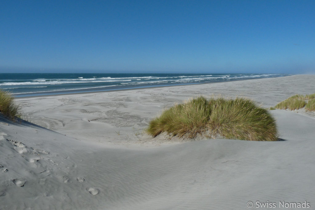 Farewell Spit in Neuseeland