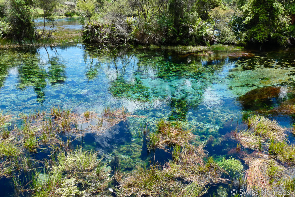 Te Waikoropupu Quellen in Neuseeland