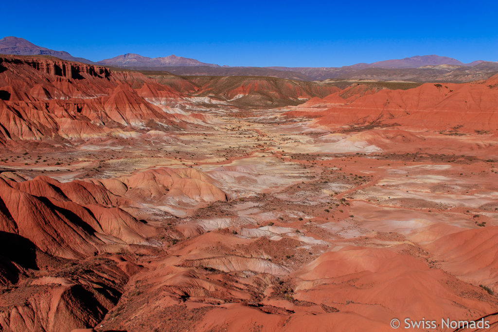 Valle Luna in der Puna