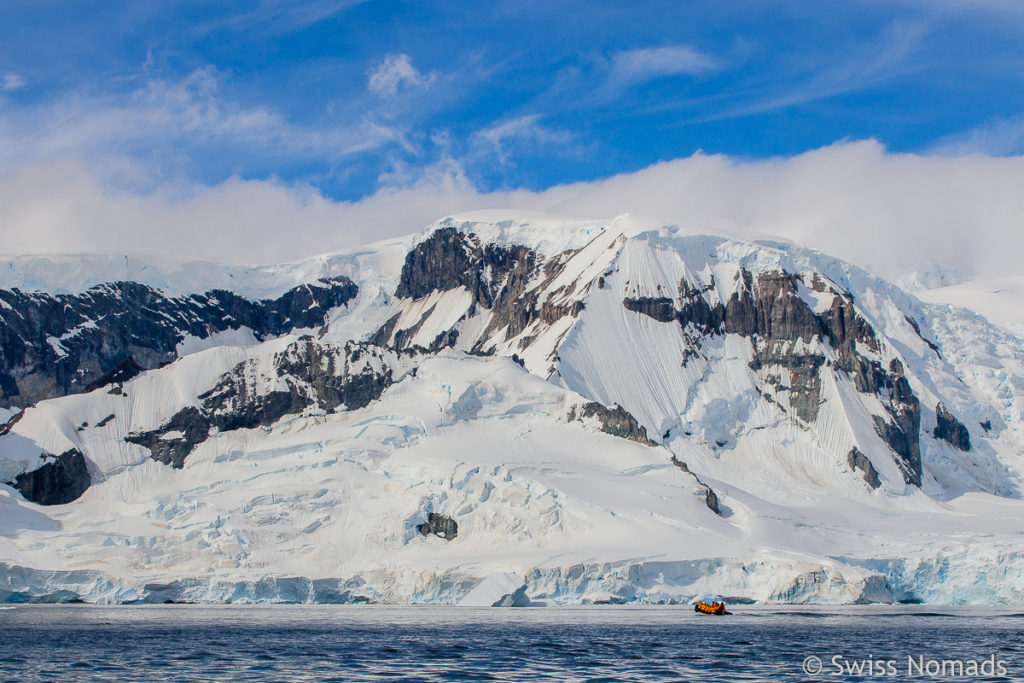 Cuverville Island Antarktis