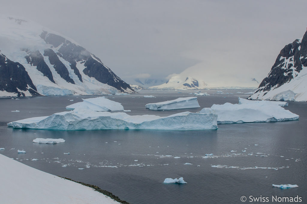 Aussicht von Danco Island Antarktis